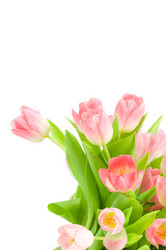 Similar image 529850