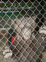 Similar image 529858