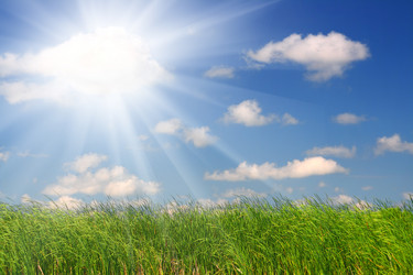 Similar image 529864