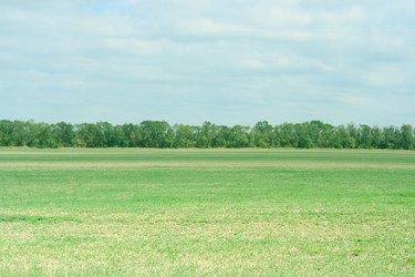 Similar image 529865