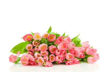 Similar image 529869