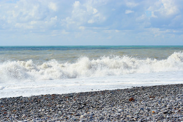 Similar image 529874