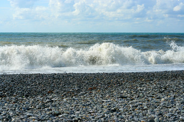 Similar image 529880