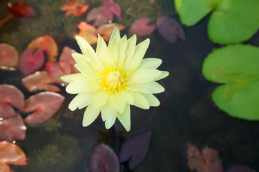 Similar image 529892