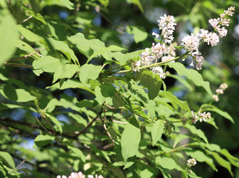 Similar image 529902