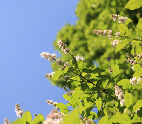 Similar image 529903