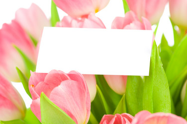 Similar image 529907