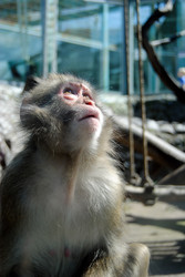 Similar image 529923