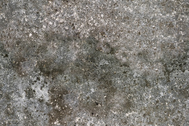 Similar image 529946