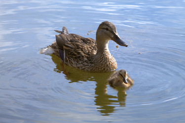 Similar image 529958