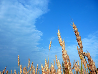 Similar image 529977