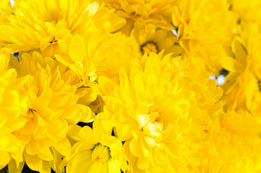 Similar image 529981