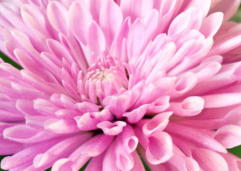 Similar image 529983