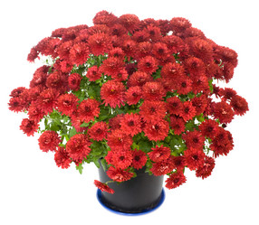 Similar image 529990