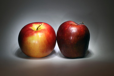 Similar image 530010