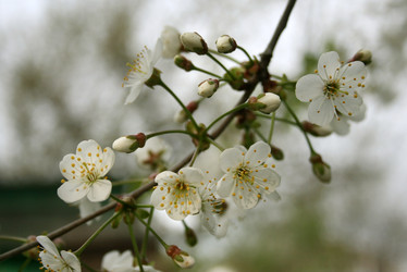 Similar image 530023