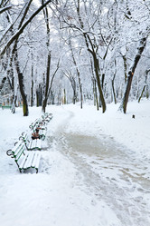 Similar image 530040