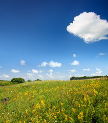 Similar image 530066