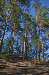 Similar image 530075