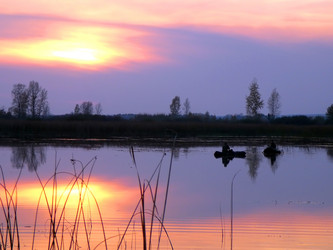 Similar image 530174