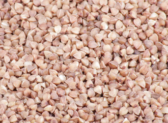 Similar image 530175