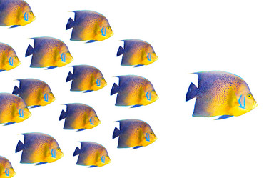 Similar image 530228