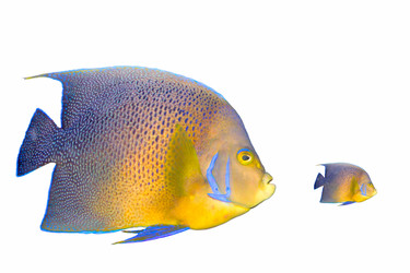 Similar image 530233