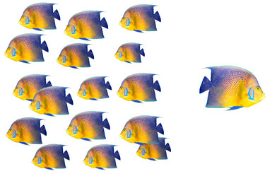 Similar image 530240