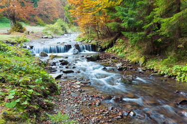 Similar image 530243