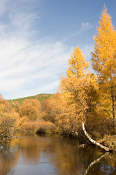 Similar image 530255