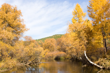 Similar image 530256