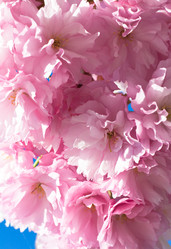 Similar image 530261