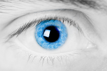 Similar image 530289