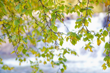 Similar image 530291