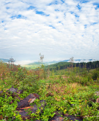 Similar image 530363