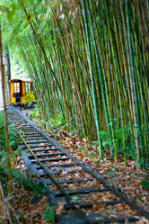 Similar image 530368