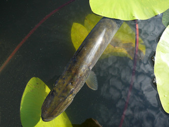 Similar image 530390