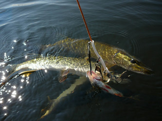 Similar image 530394