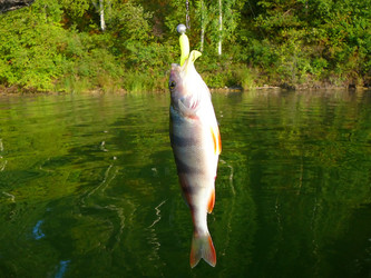 Similar image 530395