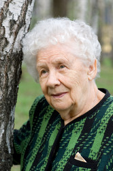 Similar image 530422