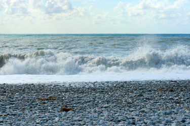 Similar image 530424