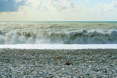 Similar image 530426