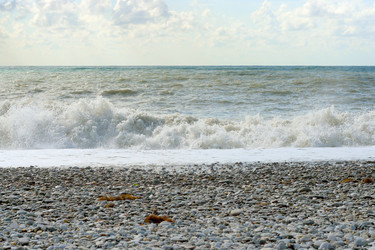 Similar image 530429