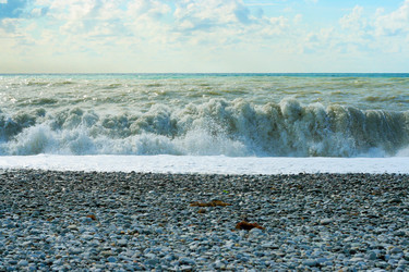 Similar image 530437