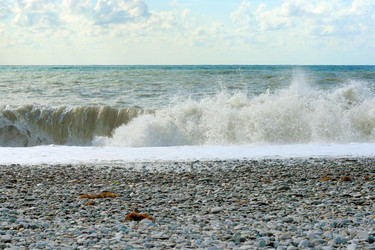 Similar image 530442