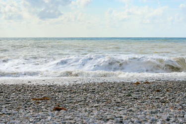 Similar image 530443