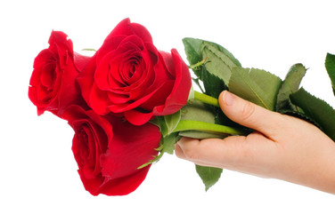 Similar image 530465