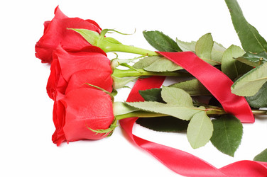 Similar image 530478