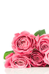 Similar image 530487