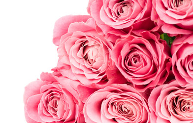 Similar image 530488